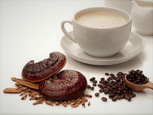 قهوه گانودرما و زگیل تناسلی