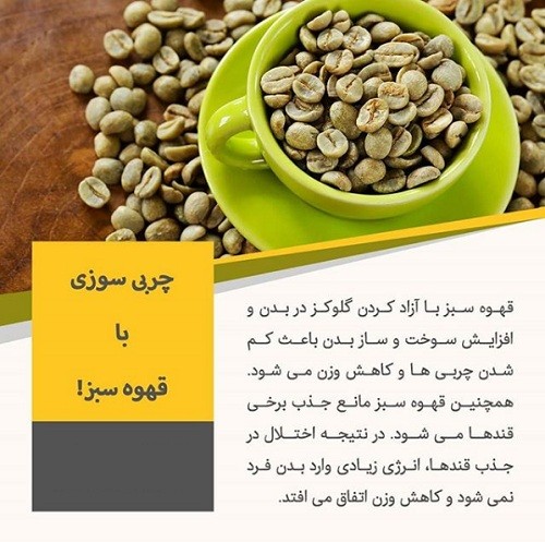 خواص دانه های قهوه سبز