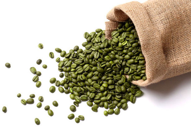 خواص و مضرات قهوه سبز در طب سنتی و اسلامی